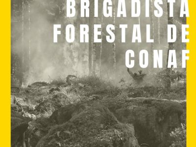CONAF ABRIÓ POSTULACIÓN PARA BRIGADISTAS DE ALTO BIOBÍO