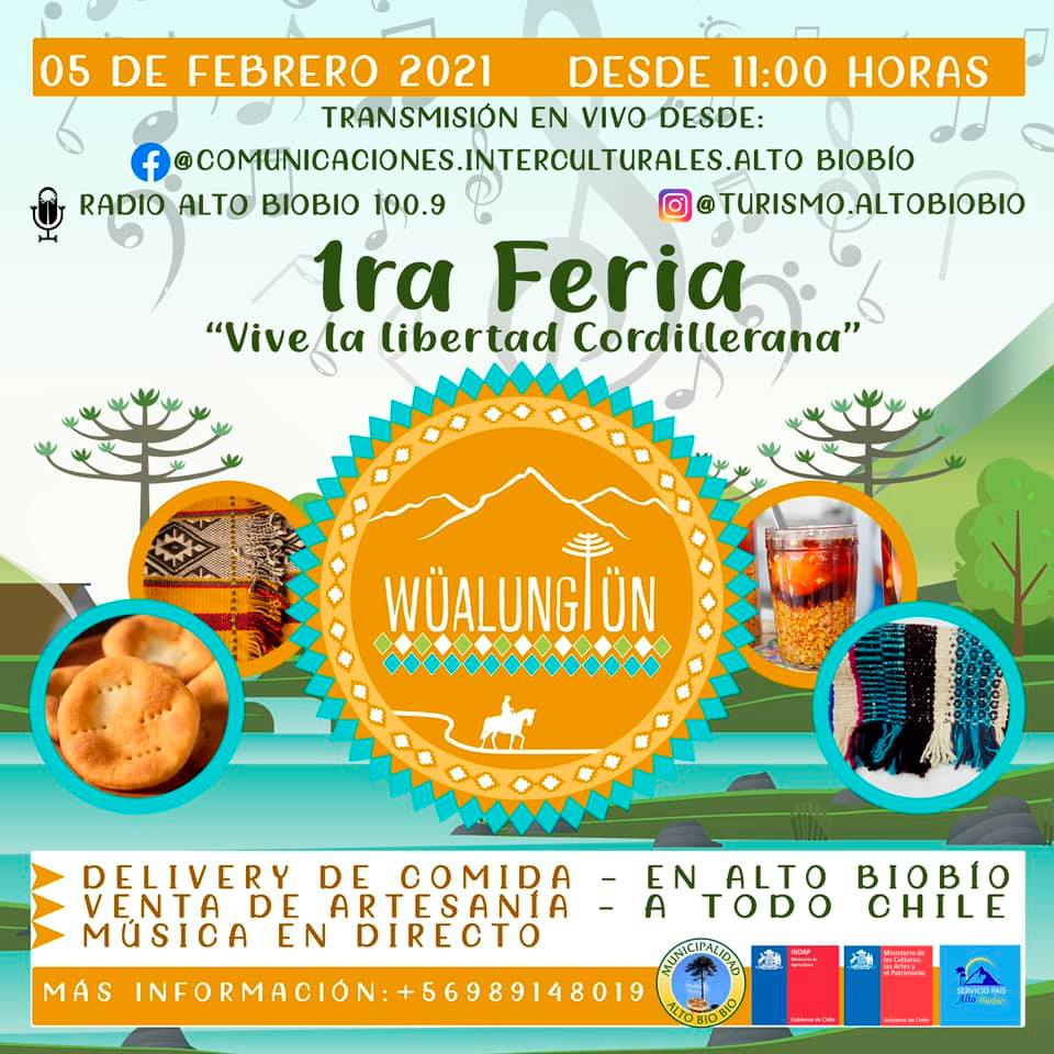 DISFRUTA DE LA ARTESANÍA, COMIDA Y MÚSICA DE ALTO BIOBÍO EN LA FERIA WÜALUNGTUN [ONLINE]