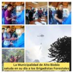 La Municipalidad de Alto Biobío saluda en su día a los Brigadistas Forestales, en especial a los más de 150 jóvenes de nuestro territorio que desempeñan esta honorable labor.