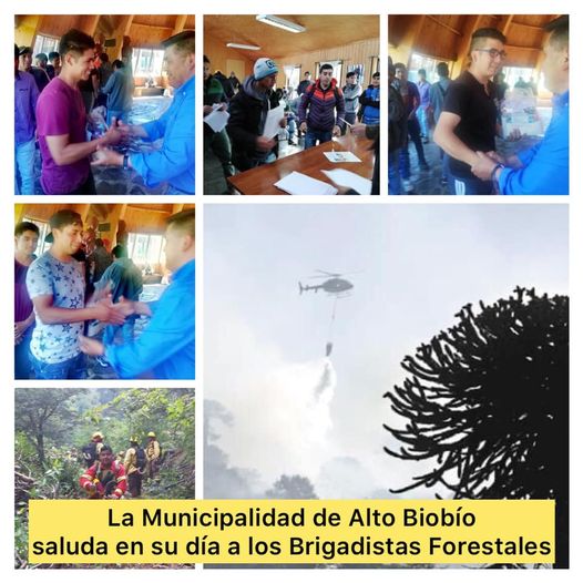 Lee más sobre el artículo La Municipalidad de Alto Biobío saluda en su día a los Brigadistas Forestales, en especial a los más de 150 jóvenes de nuestro territorio que desempeñan esta honorable labor.