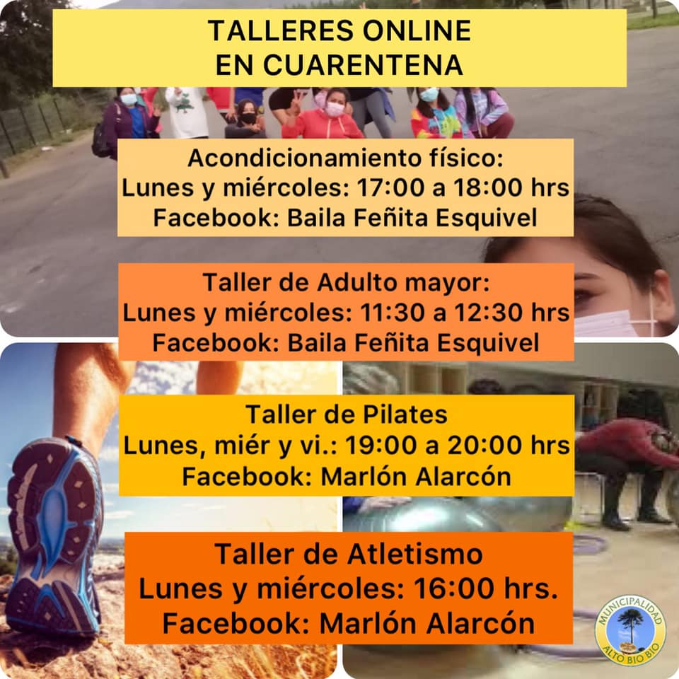 TALLERES DEPORTIVOS ONLINE