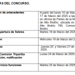 POSTULACION CONCURSO PDTI