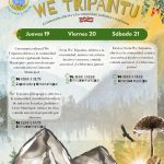ALTO BIOBÍO CELEBRARÁ EL WE TRIPANTU EN COMUNIDAD