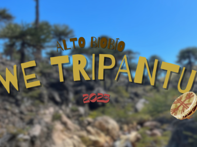 ALTO BIOBÍO CELEBRARÁ EL WE TRIPANTU EN COMUNIDAD