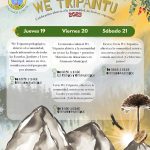 ALTO BIOBÍO CELEBRARÁ EL WE TRIPANTU EN COMUNIDAD